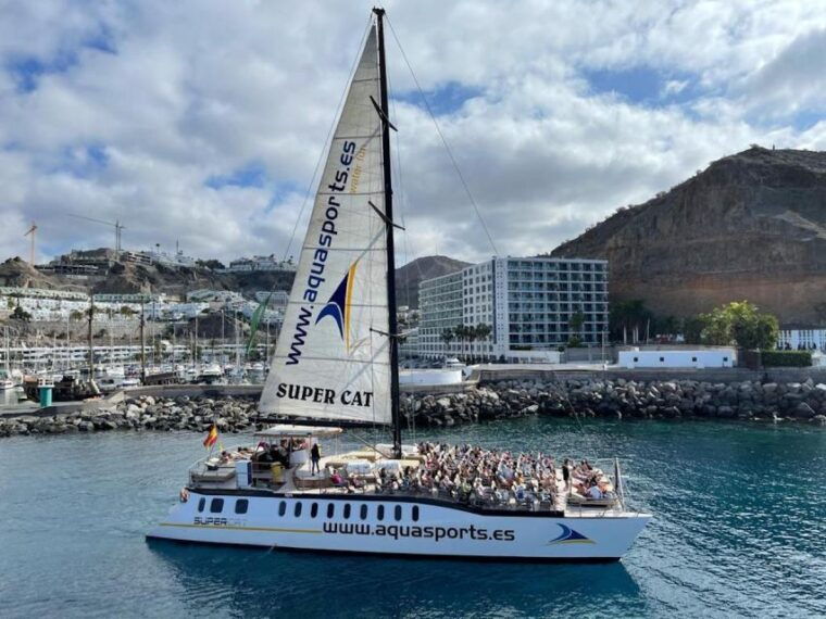 puerto-rico-de-gran-canaria-premium-dolphin-catamaran-tour