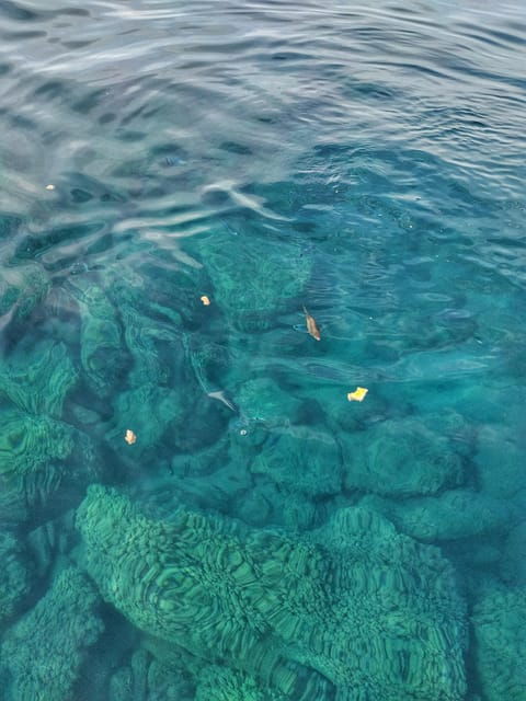 riomaggiore-cinque-terre-daytime-cruise-with-snorkeling
