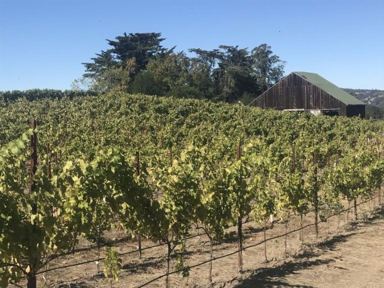 san-francisco-sonoma-wine-country-tour-with-tastings