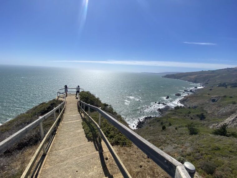 san-francisco-tour-to-muir-woods-giant-redwoods-sausalito