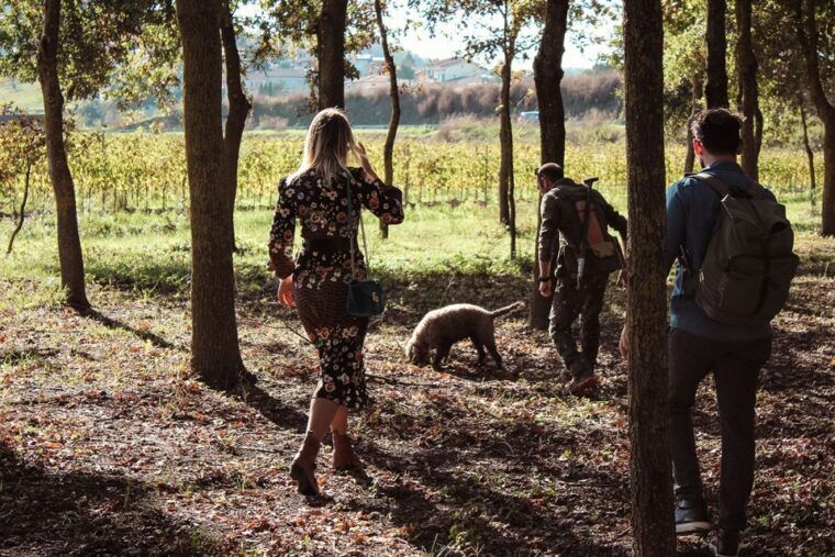 san-gimignano-truffle-hunting-with-lunch-wine-tasting