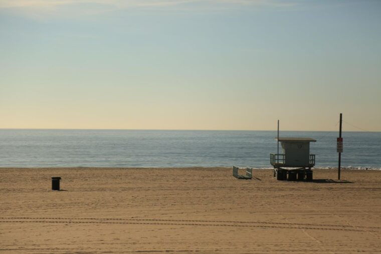 santa-monica-surfing-day-trip-with-lunch