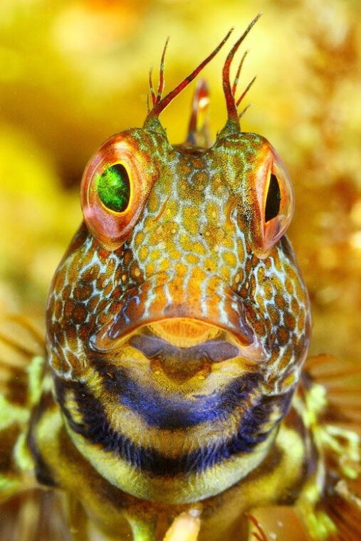 sesimbra-scuba-diving-experience-for-beginners