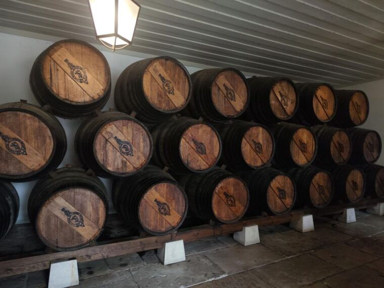 setubal-wine-tour-discover-the-moscatel-wine