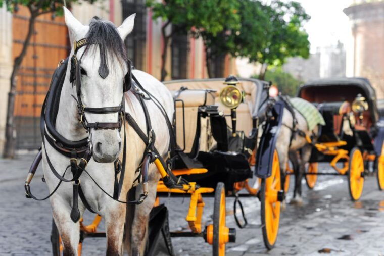 seville-authentic-and-romantic-horse-drawn-carriage-ride