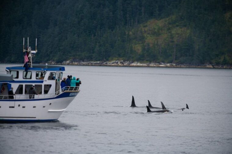 seward-kenai-fjords-national-park-extended-cruise
