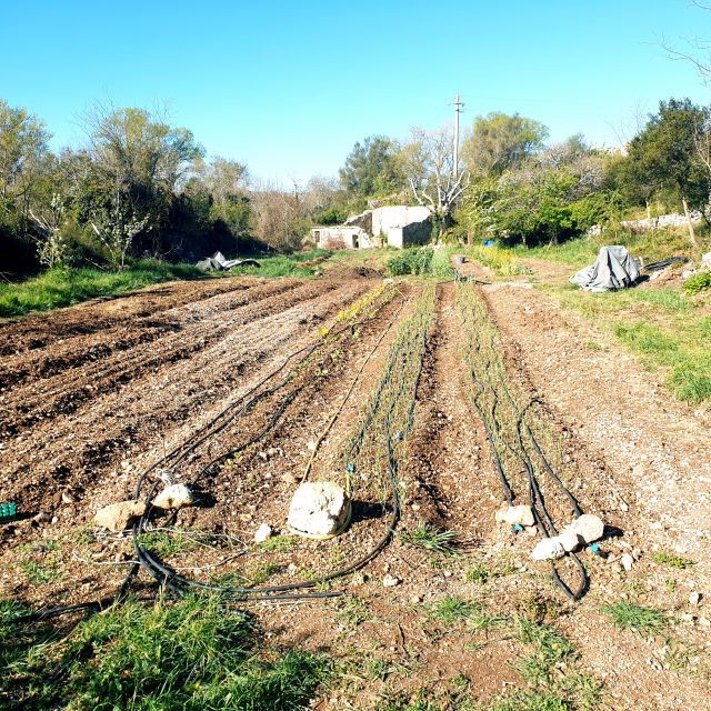 slowlife-family-farm-from-garden-to-table