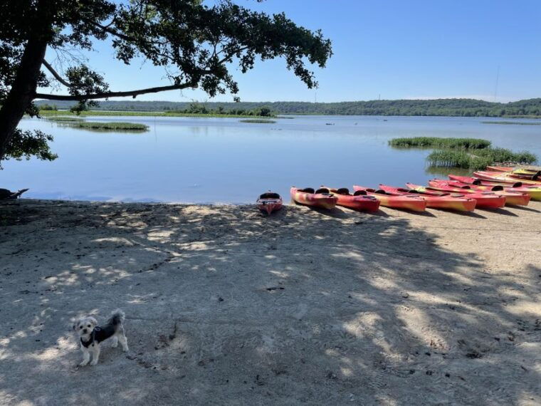 starved-rock-state-park-guided-kayaking-tour