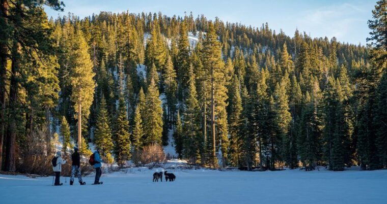 sunset-snowshoe-guided-hike