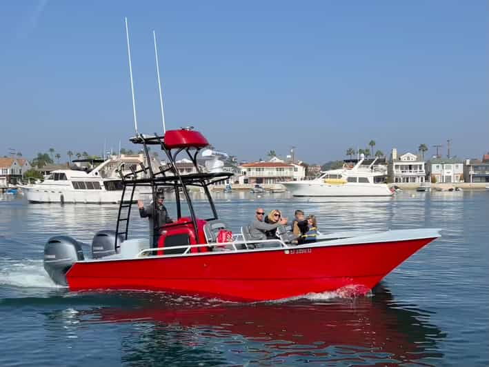 superior-2hr-private-whale-dolphin-watching-newport-beach