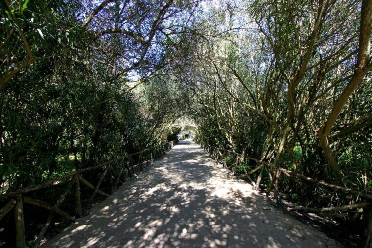 syracuse-neapolis-archaeological-park-small-group-tour