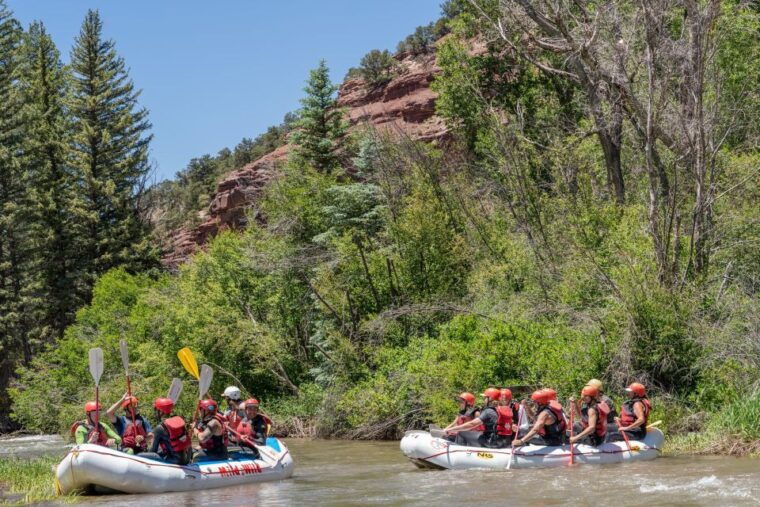 telluride-whitewater-rafting-afternoon-half-day
