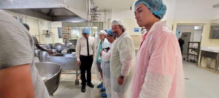 tour-of-cilento-a-journey-through-history-and-archaeology