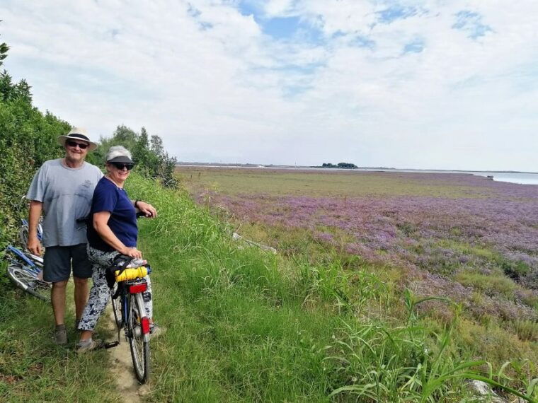 venice-bike-tour-honey-artichockes-on-santerasmo-island
