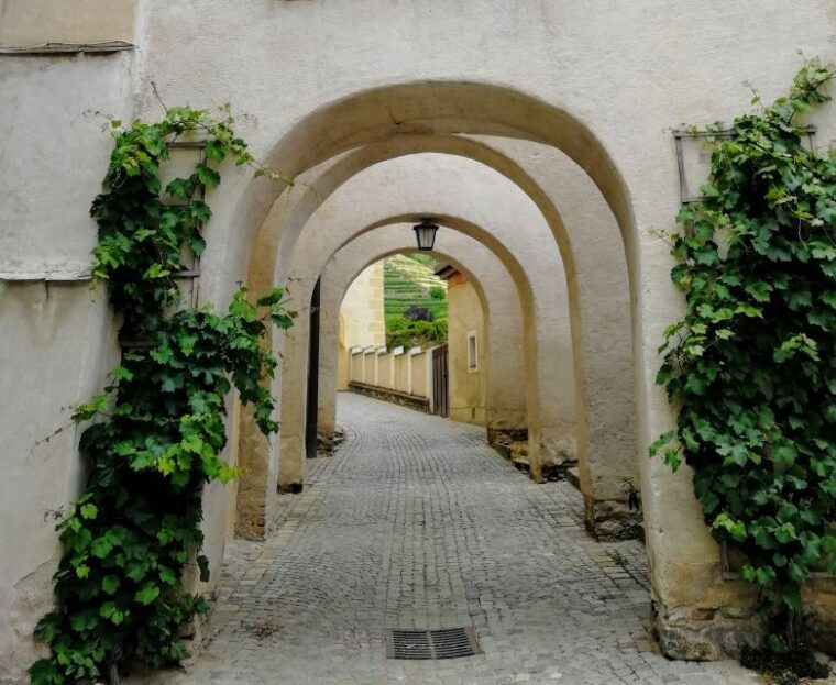 vienna-wachau-valley-private-kayak-and-wine-tour
