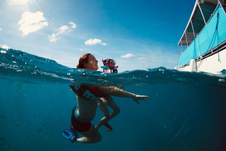 waikiki-snorkel-tour-with-hawaiian-green-sea-turtles