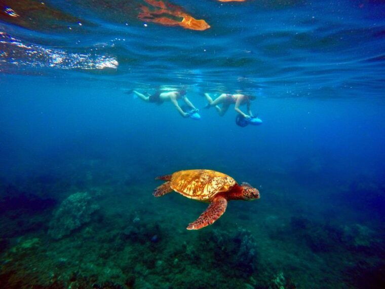 wailea-beach-guided-sea-scooter-snorkeling-tour