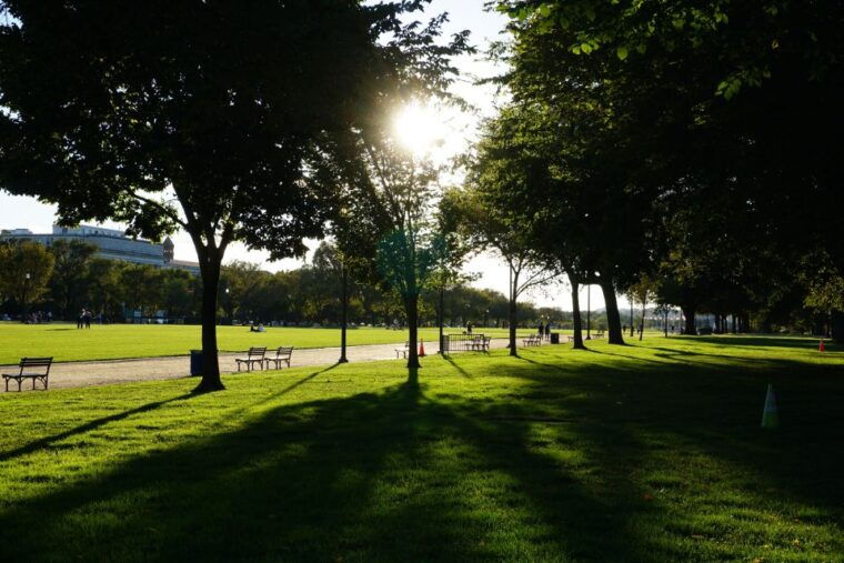 washington-dc-national-mall-walking-tour