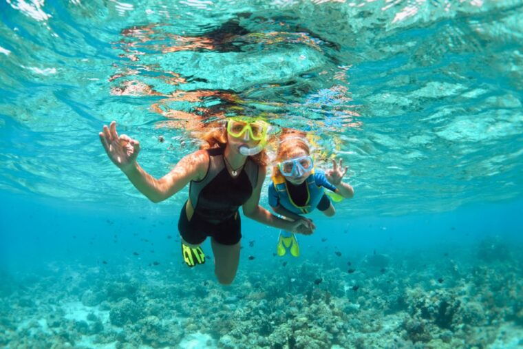 west-oahu-turtles-dolphins-and-snorkeling-tour-with-lunch