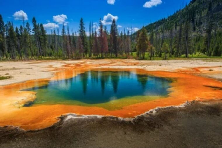 yellowstone-old-faithful-waterfalls-and-wildlife-day-tour