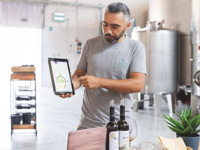 a-morning-with-the-winemaker