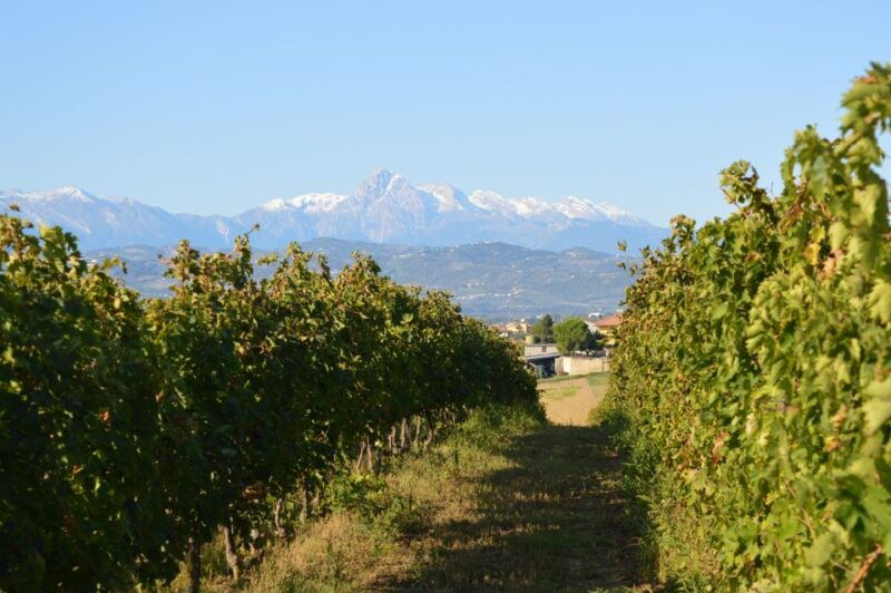 abruzzo-historic-cellar-wine-tour-and-tasting