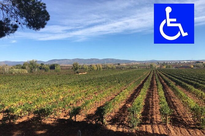 accessible-valencia-private-accessible-wine-tour-with-lunch
