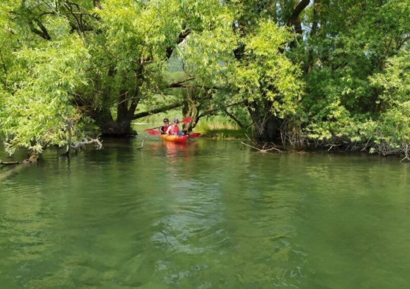 adda-river-half-day-kayak-trip