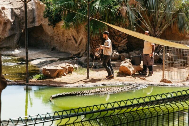 aguimes-crocodile-park-zoo-entry-ticket