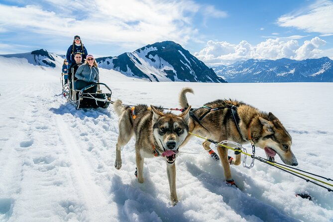 alaska-helicopter-and-glacier-dogsled-tour-seward-area