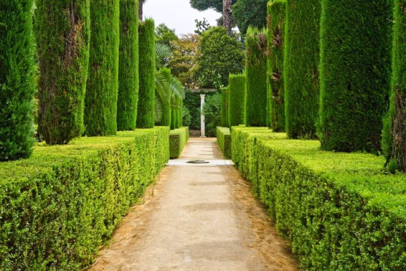 alcazar-of-seville-vip-tour