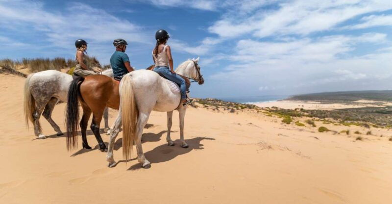 algarve-1-hour-carrapateira-horseback-riding-tour