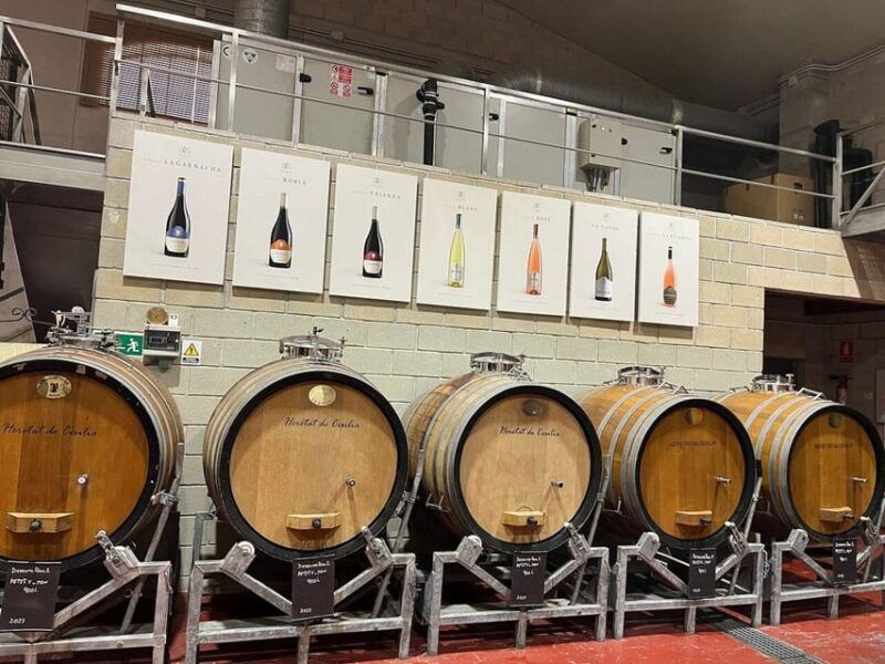 alicante-old-winery-tour-wine-tasting-including-transfer