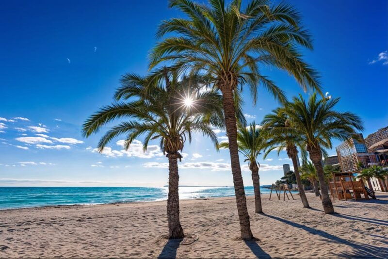 alicante-spot-the-mediterranean-by-e-bike