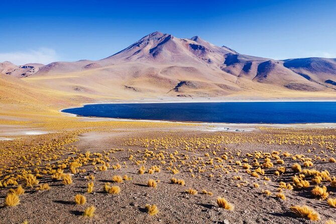 altiplanic-lagoons-and-piedras-rojas