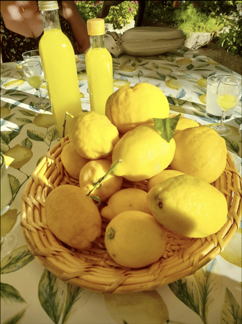 amalfi-organic-lemon-tour-wine-tasting-dinner-or-lunch