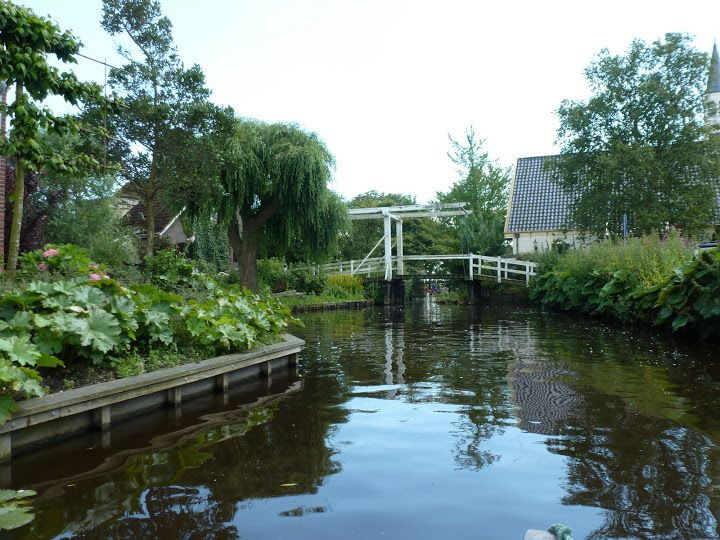 amsterdam-5-hour-guided-canoe-trip-in-the-wetlands