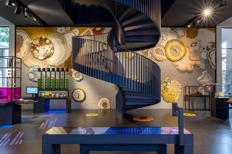 amsterdam-artis-micropia-microbe-museum-entry-ticket