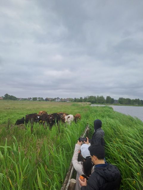 amsterdam-countryside-bike-and-kayak-guided-tour