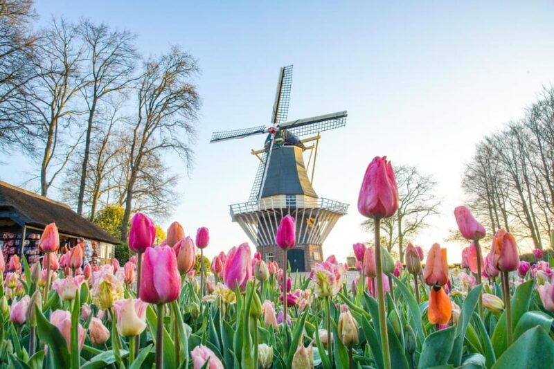 amsterdam-keukenhof-and-zaanse-schans-live-guided-day-tour