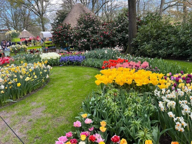 amsterdam-to-keukenhof-zaanseschans-private-tour