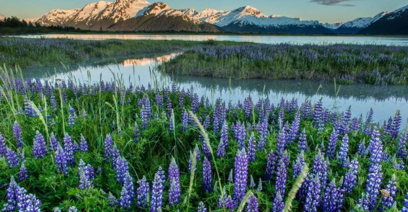 anchorage-turnagain-arm-highlights-photography-day-trip