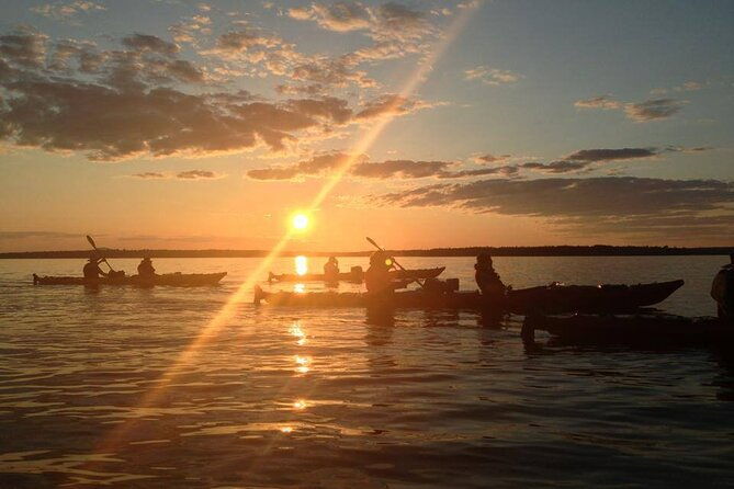 aqua-safari-kayak-tour-departing-southwest-harbor