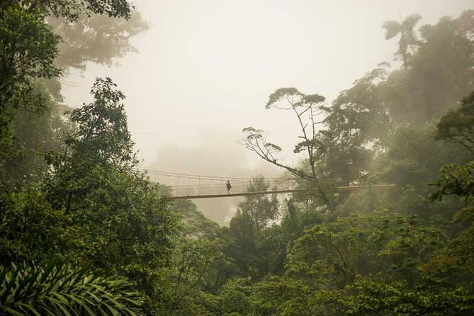 arenal-discovery-adventure-3hanging-bridges-waterfall-lunch