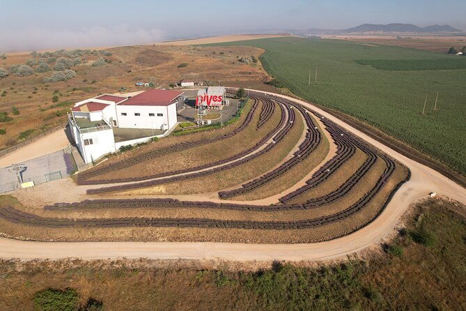 aroma-sampling-of-5-bulgarian-lavender-varieties-at-dives-winery