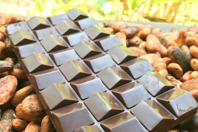 artisanal-chocolate-from-the-garden-to-the-table