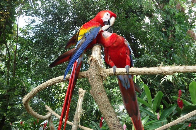auto-safari-chapin-drive-through-nature-park-zoo-from-puerto-quetzal