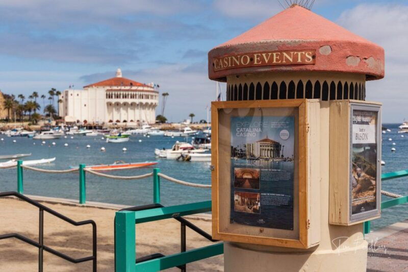 avalon-private-golf-cart-tour-with-driver-guide