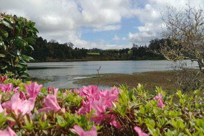 azores-1-day-private-tour-furnas-volcanic-activity-hot-springs