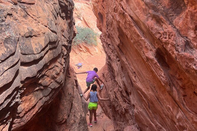 babylon-arch-hike-and-desert-wildlife-adventure